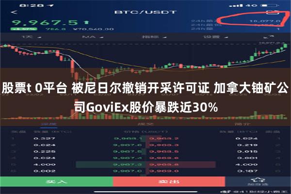 股票t 0平台 被尼日尔撤销开采许可证 加拿大铀矿公司GoviEx股价暴跌近30%