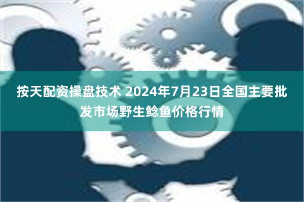 按天配资操盘技术 2024年7月23日全国主要批发市场野生鲶鱼价格行情