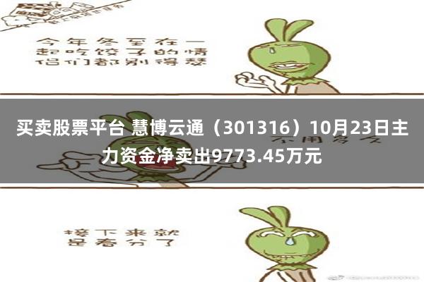 买卖股票平台 慧博云通（301316）10月23日主力资金净卖出9773.45万元