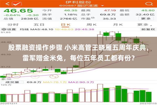 股票融资操作步骤 小米高管王晓雁五周年庆典，雷军赠金米兔，每位五年员工都有份？
