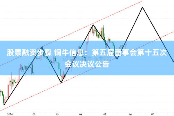 股票融资步骤 铜牛信息：第五届董事会第十五次会议决议公告