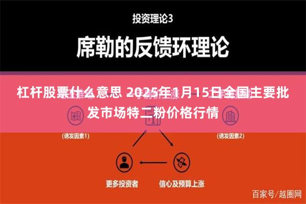 杠杆股票什么意思 2025年1月15日全国主要批发市场特二粉价格行情